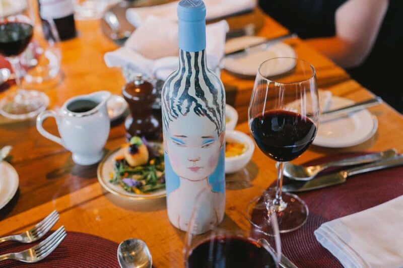 VIK Winery Tour with Wine Tasting and Lunch from Santiago - Key Points