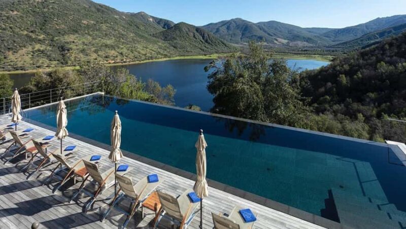 VIK Winery Tour with Wine Tasting and Lunch from Santiago - Who Will Love This Tour?