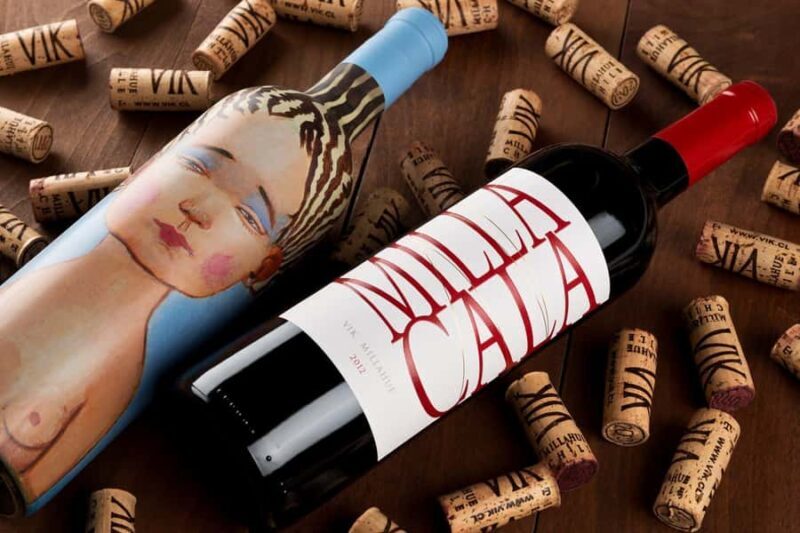 VIK Winery Tour with Wine Tasting and Lunch from Santiago - Frequently Asked Questions