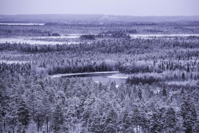 Vikakongas Hike: Nature and Silence - Key Points