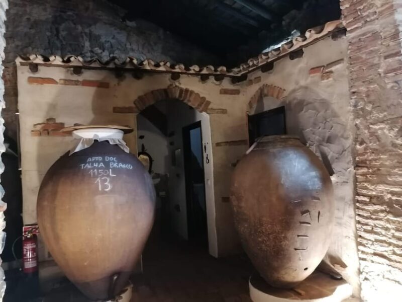 Vila de Frades: Talha Wine Tour with Tastings - An Authentic Taste of Portugal’s Alentejo: Vila de Frades Talha Wine Tour with Tastings