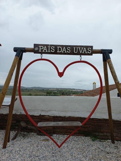 Vila de Frades: Talha Wine Tour with Tastings - Practical Details and Considerations