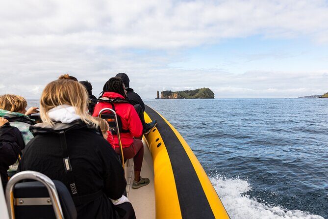 Vila Franca Islet Inside Guided Natural Reserve Geo Tour - Who Will Love This Tour?