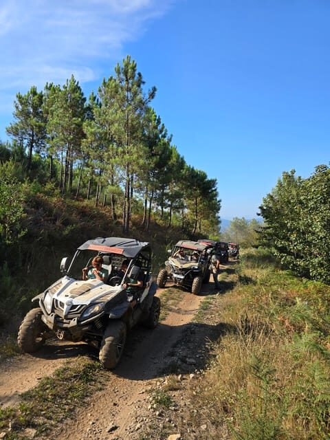 Vila Nova Cerveira: Buggy rides through the cerveira mountains - Is It Worth the Price?