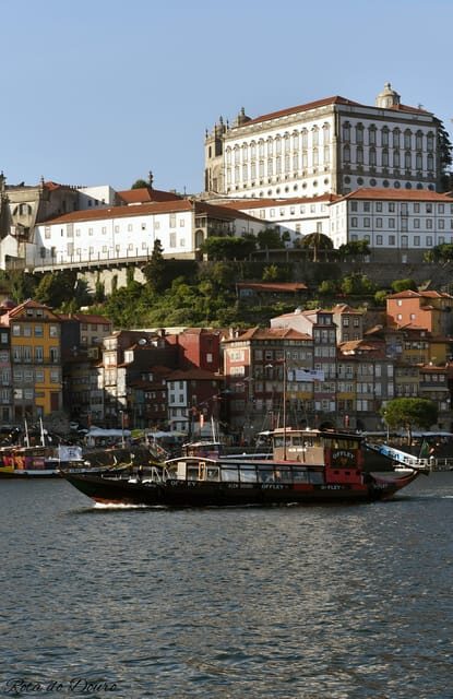 Vila Nova de Gaia: Cruzeiro das Pontes - Who Should Consider This Tour?