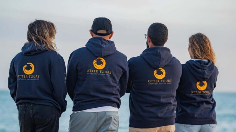 Vilamoura: Private boat Marine Wildlife Watching Safari - Vilamoura: Private Boat Marine Wildlife Watching Safari — A Genuine Ocean Encounter