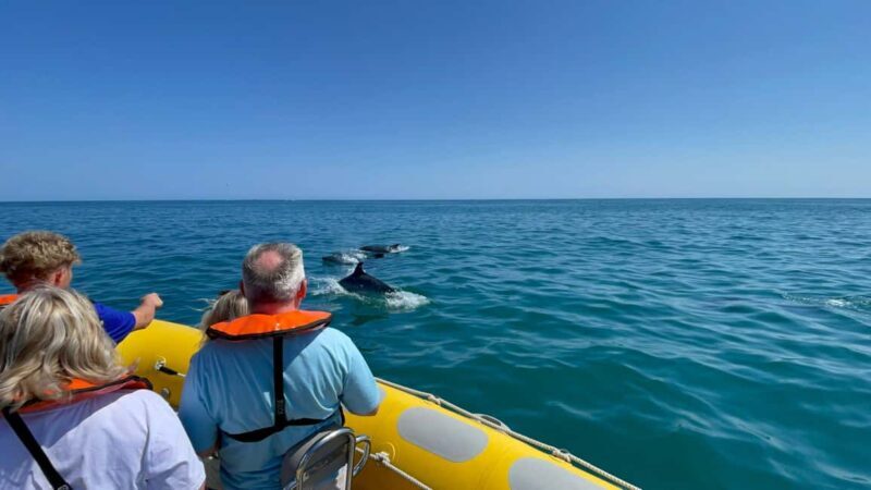 Vilamoura: Private boat Marine Wildlife Watching Safari - FAQ — Your Practical Questions Answered
