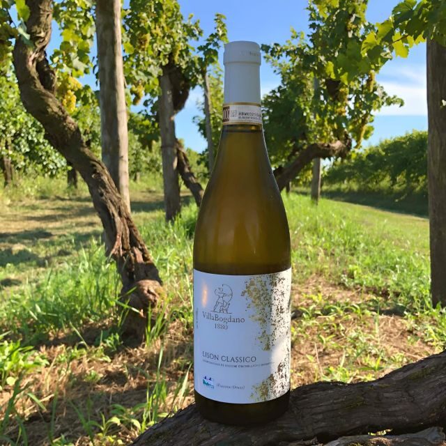 Villa Bogdano 1880: Guided Winery Tour and Tasting - FAQ