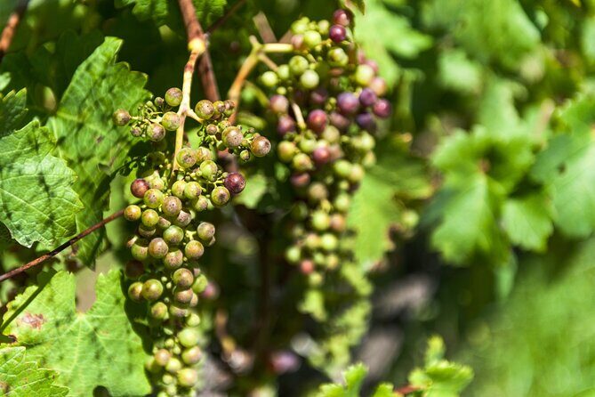 Villa de Leyva: 2-Day Private Tour from Bogota, Museums, Fossils - Frequently Asked Questions