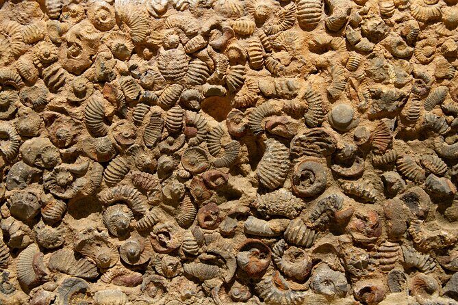 Villa de Leyva Full Day Private Tour (12 Hrs.) - An In-Depth Look at the Villa de Leyva Full Day Tour