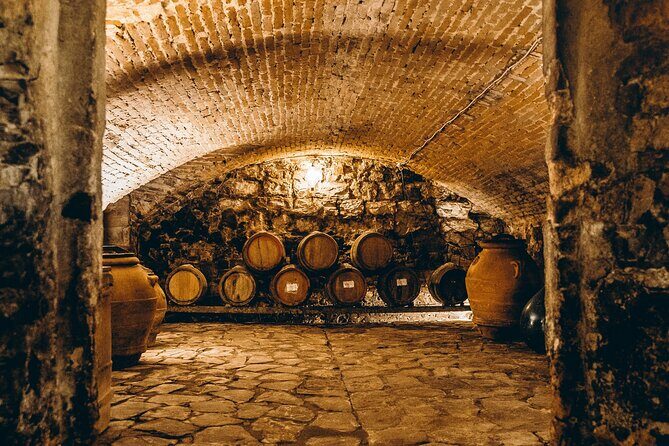 Villa Medicea Di Lilliano Tour with Wine Tasting - Who Should Book This Tour?