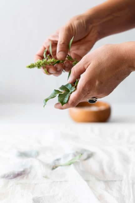 Villacidro - The Cogas ointment: the secrets of herbs - The Experience in Detail