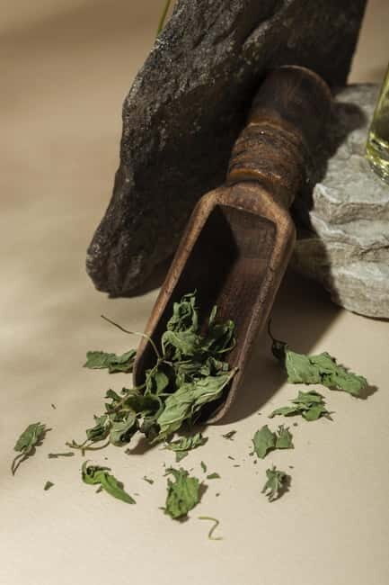 Villacidro - The Cogas ointment: the secrets of herbs - Who Will Enjoy This Tour