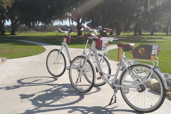 Village Bicycle Rental Free Delivery in The Villages Florida - A Deep Dive into the Experience