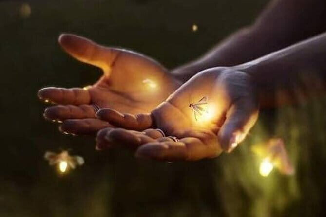 VIllage Firefly Night Tour - Ubud Bali - A Truly Authentic Evening in Ubud: Village Firefly Night Tour