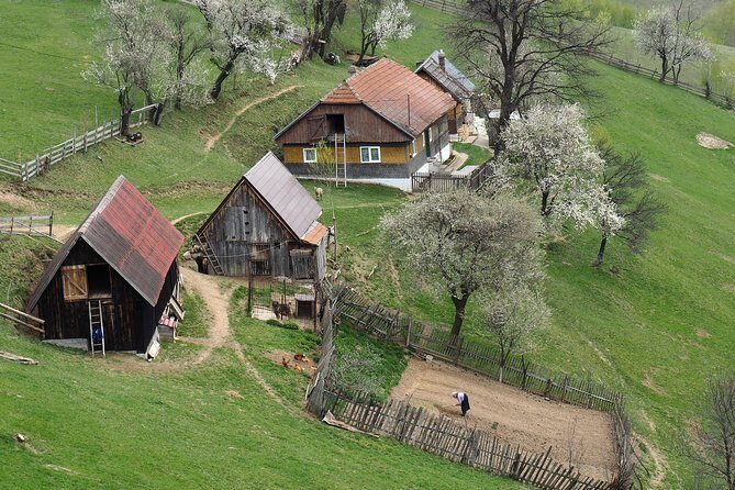 Village life in Transylvanian Carpathian mountains - 8 days - Discovering Village Life in the Transylvanian Carpathian Mountains: An 8-Day Adventure