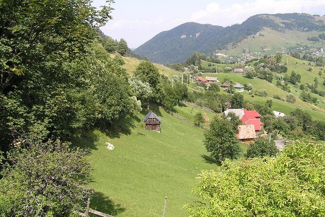 Village life in Transylvanian Carpathian mountains - 8 days - A Detailed Look at the 8-Day Itinerary