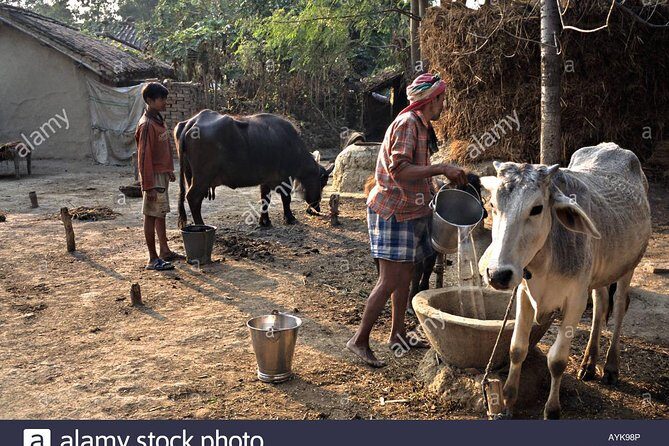 Village Tour - Key Points