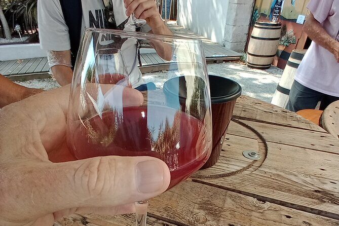 Villages and wine tasting around the Pic Saint Loup - Practical Details & Tips