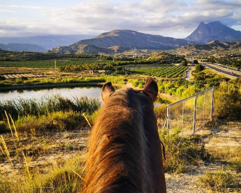 Villajoyosa Horseback Riding in the Mountains with sea views - An Authentic Ride in the Heart of Nature