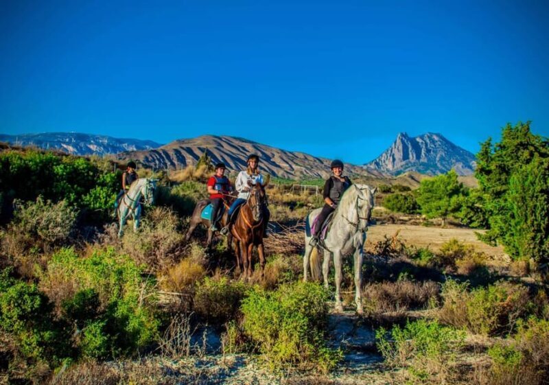 Villajoyosa Horseback Riding in the Mountains with sea views - Why This Experience is Worth Considering