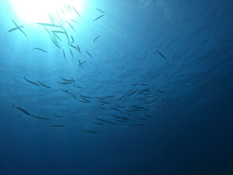 Villasimius: Snorkeling Tour in Capo Carbonara - The Setting: Villasimius and Capo Carbonara
