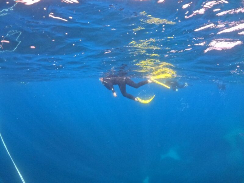 Villasimius: Snorkeling Tour in Capo Carbonara - Mid-Trip Break: Relaxing on Board