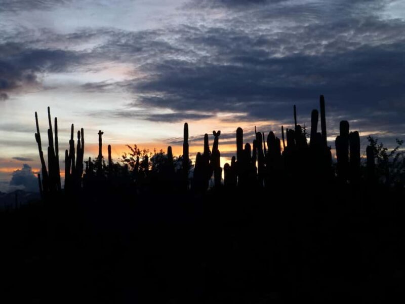 Villavieja: Tatacoa Desert Horseback Riding Tour - Key Points