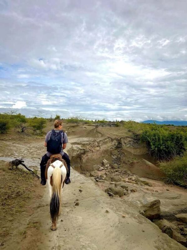 Villavieja: Tatacoa Desert Horseback Riding Tour - Final Thoughts