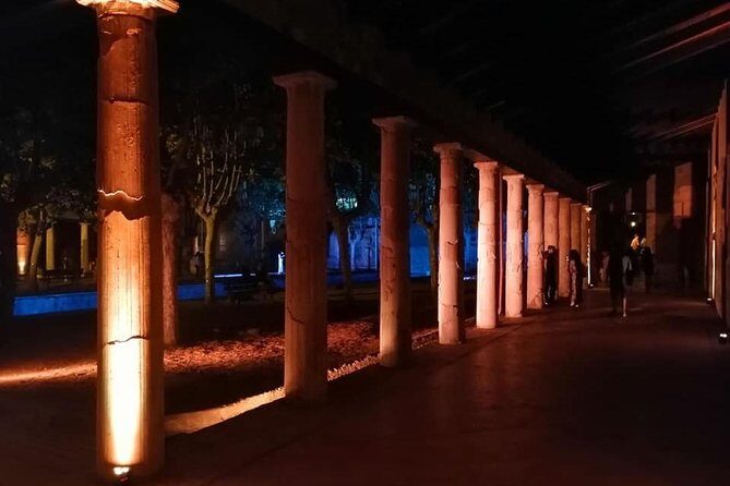 Ville di Stabiae (Transfer from Castellammare di stabia+guide) - The Sum Up