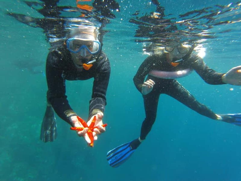 Villefranche-sur-Mer: guided snorkeling to discover the aquatic world - Villefranche-sur-Mer: Guided Snorkeling to Discover the Aquatic World