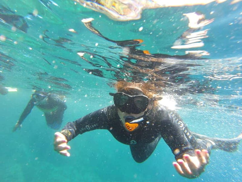Villefranche-sur-Mer / Nice: snorkeling in privacy on a private boat - Why This Tour Offers Real Value