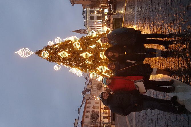 Vilnius city tour- walking& driving - Who Will Love This Tour?