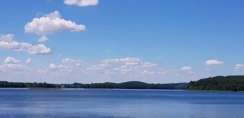 Vilnius: Trakai Castle Half-Day Tour by minivan - Key Points