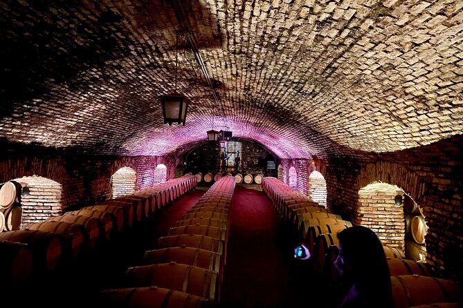 Viña Concha y Toro Premium Tour (half day) - Key Points