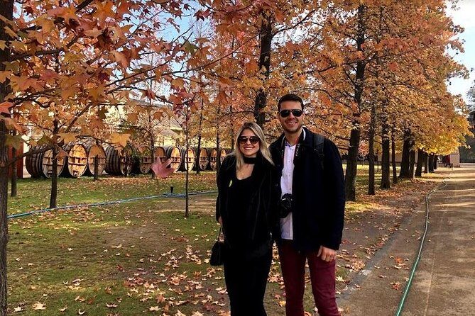 Viña Concha y Toro Premium Tour (half day) - Value and Practicalities: Does It Match the Price?