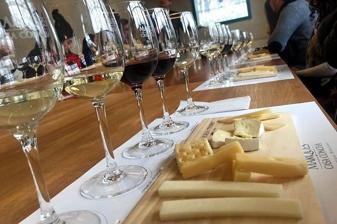 Viña Concha y Toro Premium Tour (half day) - The Sum Up: Is This Tour for You?