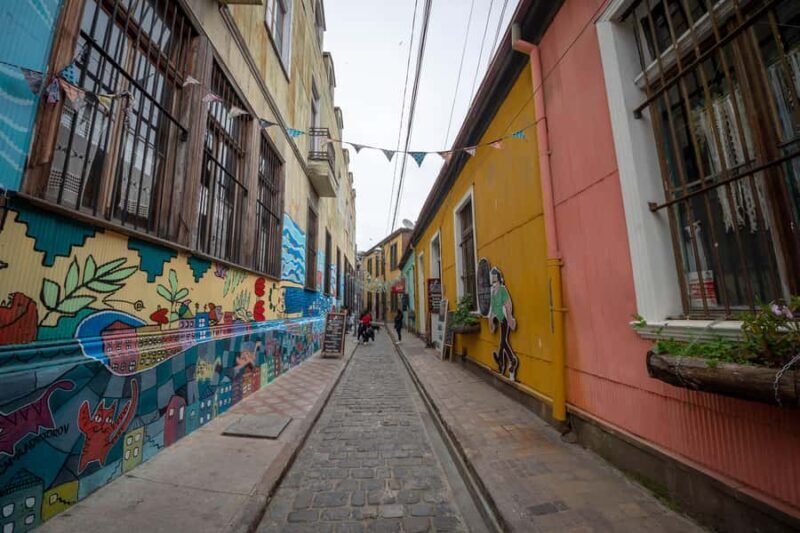 Viña del Mar and Valparaiso: guided day tour - Key Points