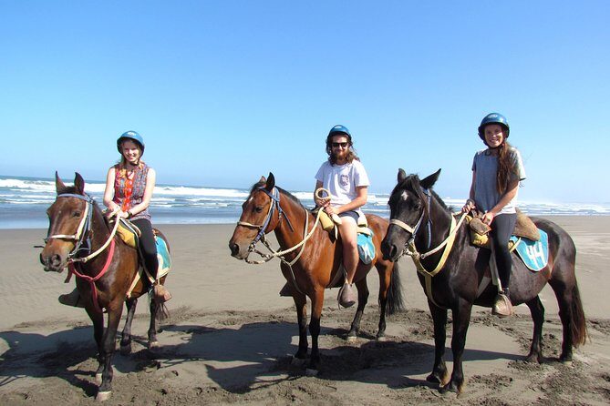 Viña del Mar and Valparaiso Private Tour Including Horseriding - A Deep Dive into the Chilean Coast Experience