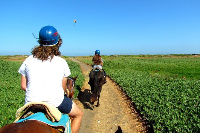 Viña del Mar and Valparaiso Private Tour Including Horseriding - Authentic Experiences and Insights from Travelers