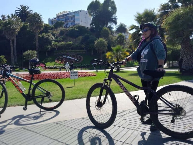 Viña del Mar: Coastal Bike Tour - Exploring the Details of the Viña del Mar Coastal Bike Tour