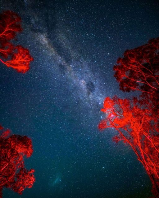 Vincentia: Jervis Bay Beach Stargazing with an Expert - Who Should Consider This Experience?
