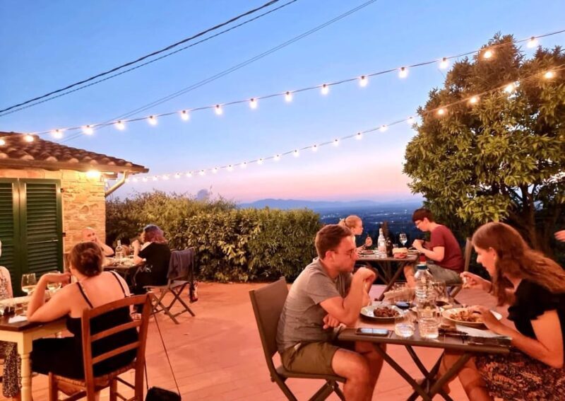 Vinci: Homemade Dinner and Oil Tasting Tour in a Tuscan Farm - The Sum Up: Who’s This For?