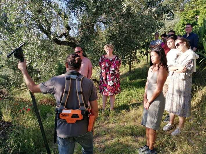 Vinci: Homemade Dinner and Oil Tasting Tour in a Tuscan Farm - FAQ