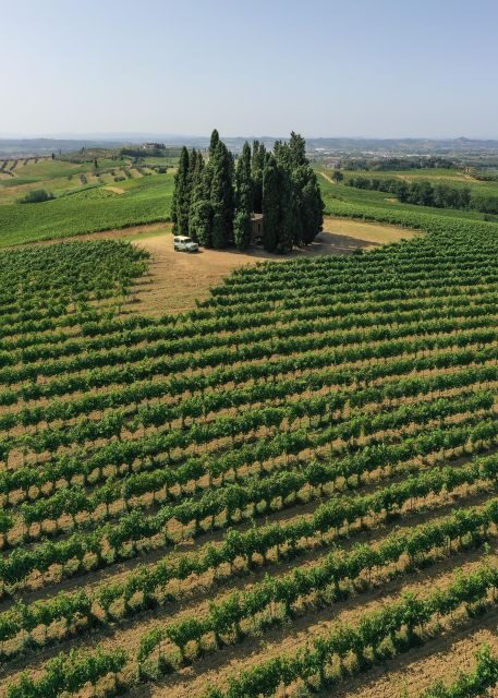 Vinci: wine-experience among the Tuscan hills - Key Points