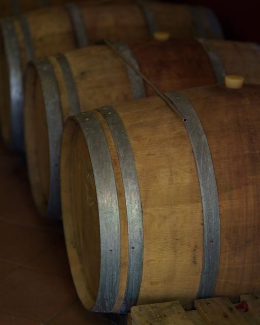 Vinci: wine-experience among the Tuscan hills - A Detailed Look at the Vinci Wine Experience