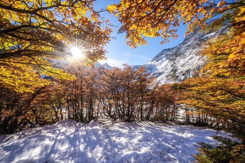 Vinciguerra Ice Experience - A Deep Look at the Vinciguerra Ice Experience