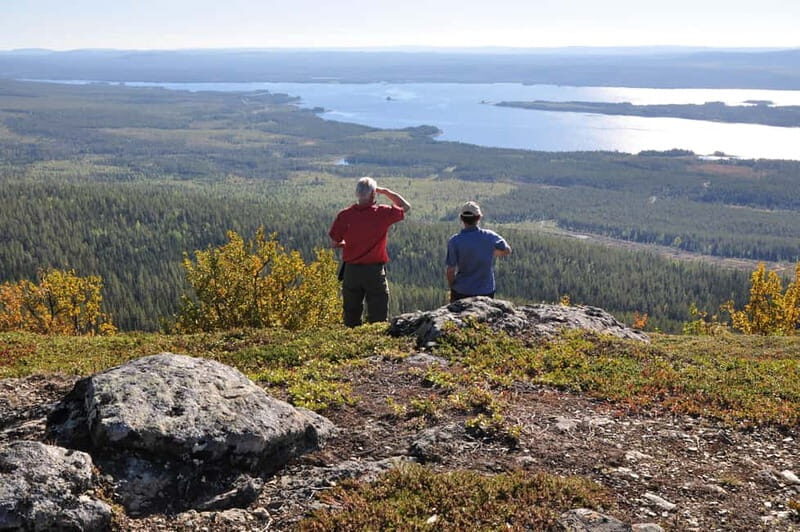 Vindelfjäll nature reserve: A walk through reindeer country - A Thorough Guide to the Vindelfjäll Experience