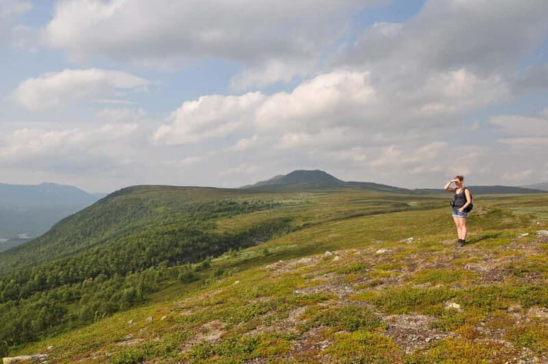 Vindelfjäll nature reserve: A walk through reindeer country - The Value of the Experience
