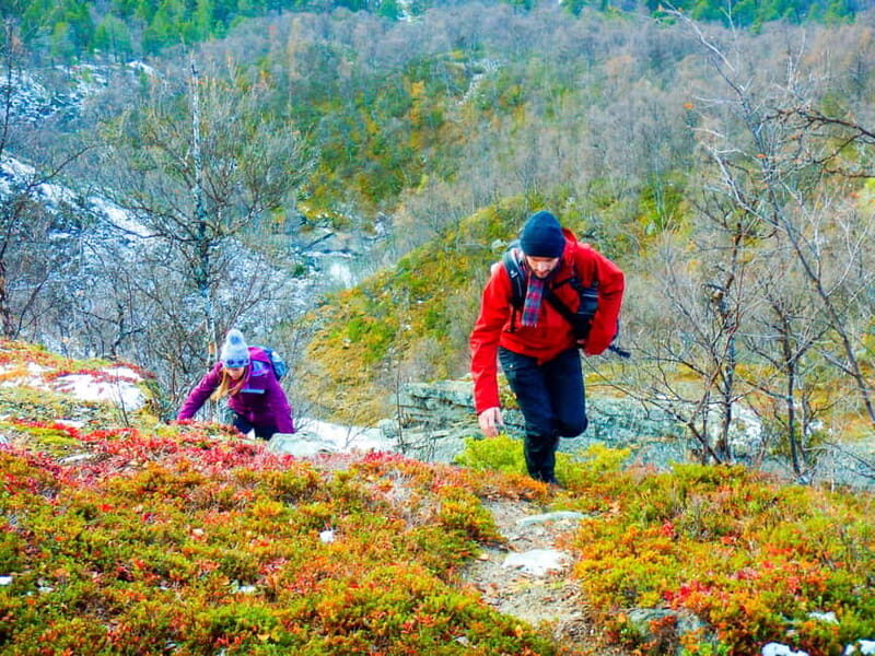 Vindelfjäll nature reserve: A walk through reindeer country - Who Would Love This Tour?